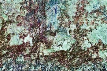 N 157B